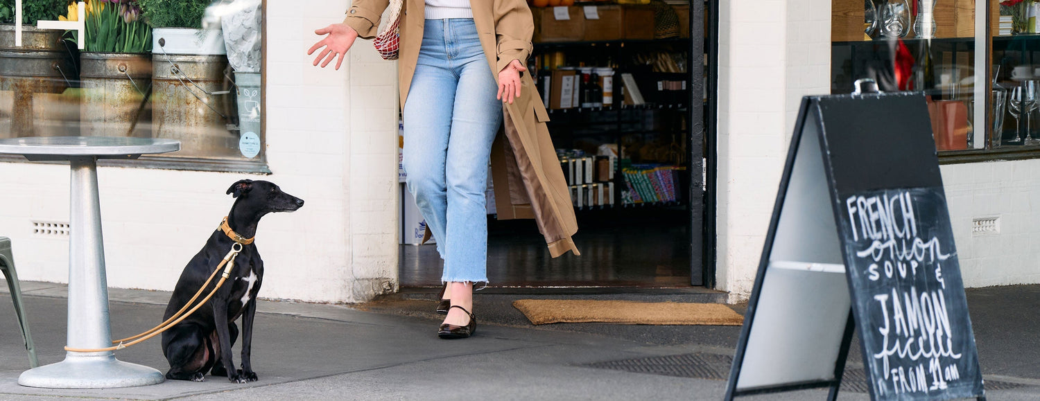 Stolen dogs on the rise! Protect Your Pup with these Critical Facts