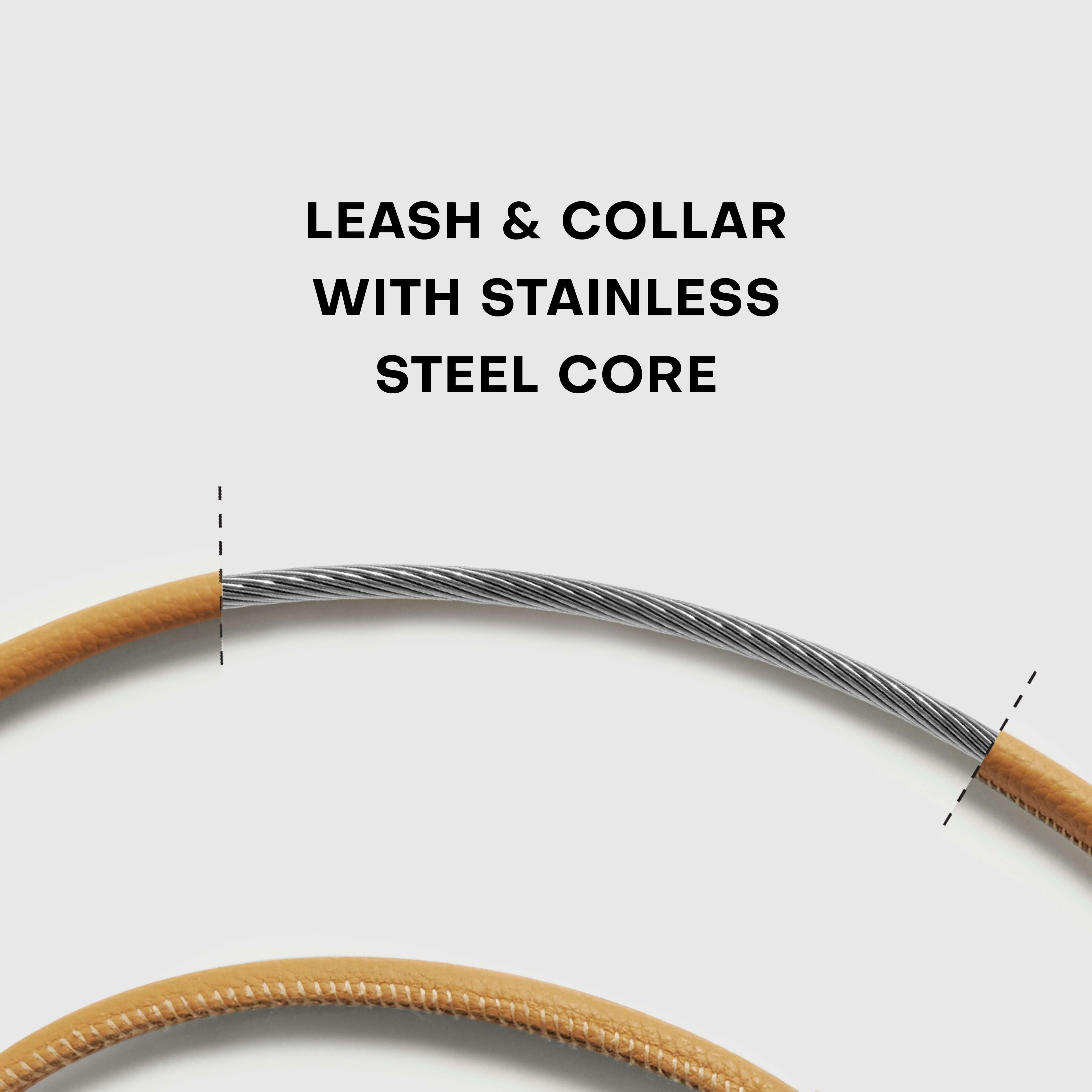 Lockable dog lead and collar set featuring leash and collar with stainless steel core for durability.
