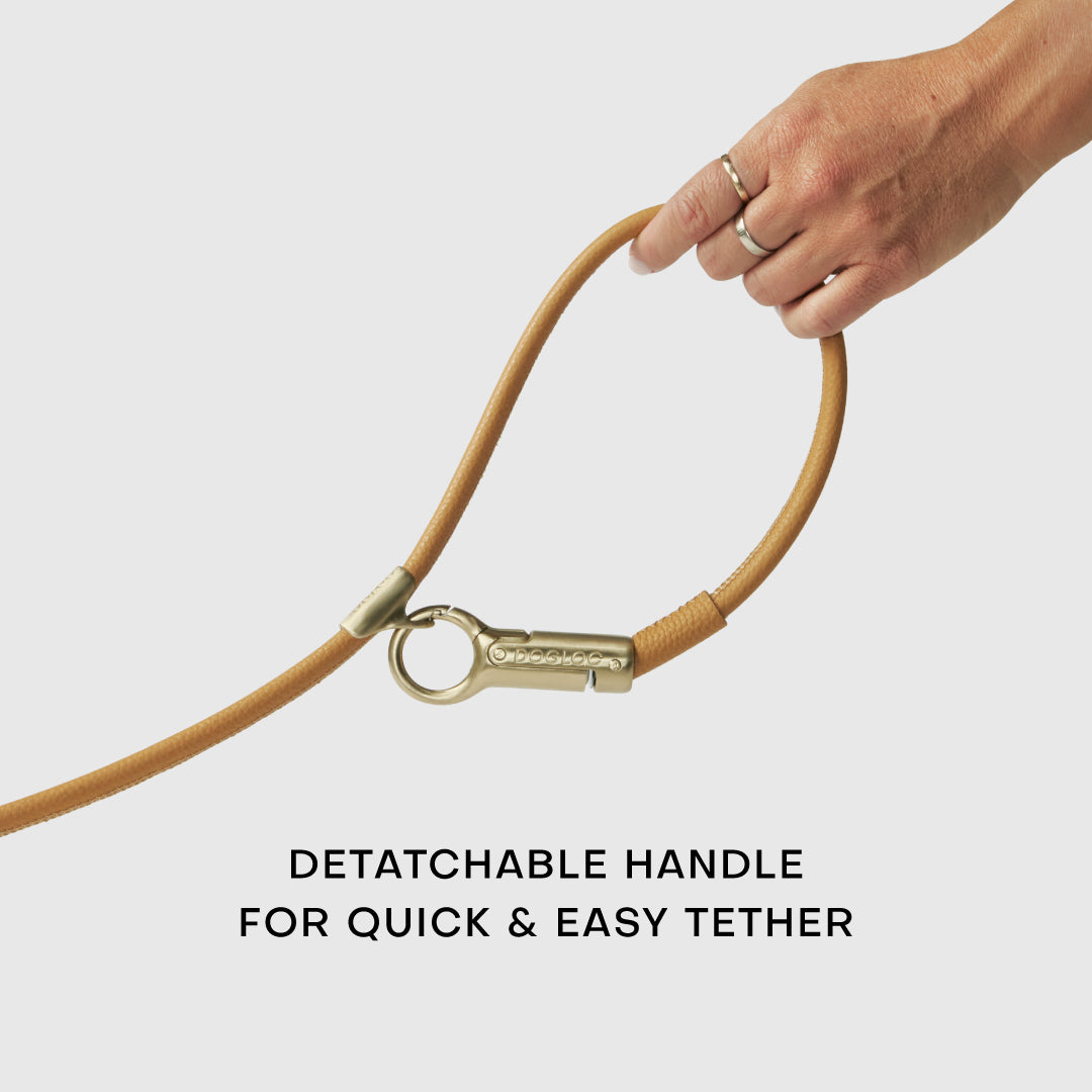 DOGLOC Easy Tether Detachable Handle