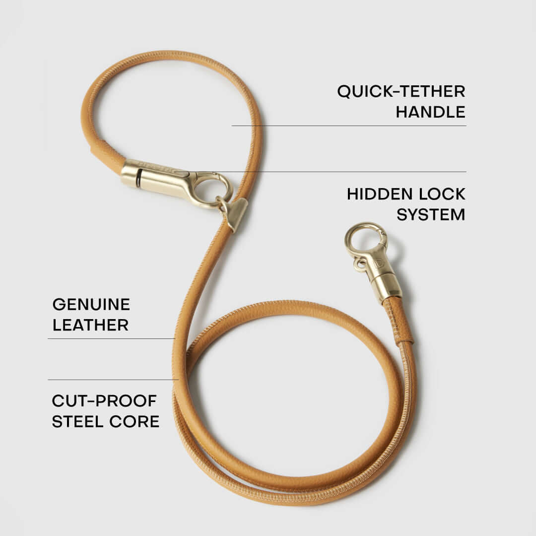 DOGLOC Leash features