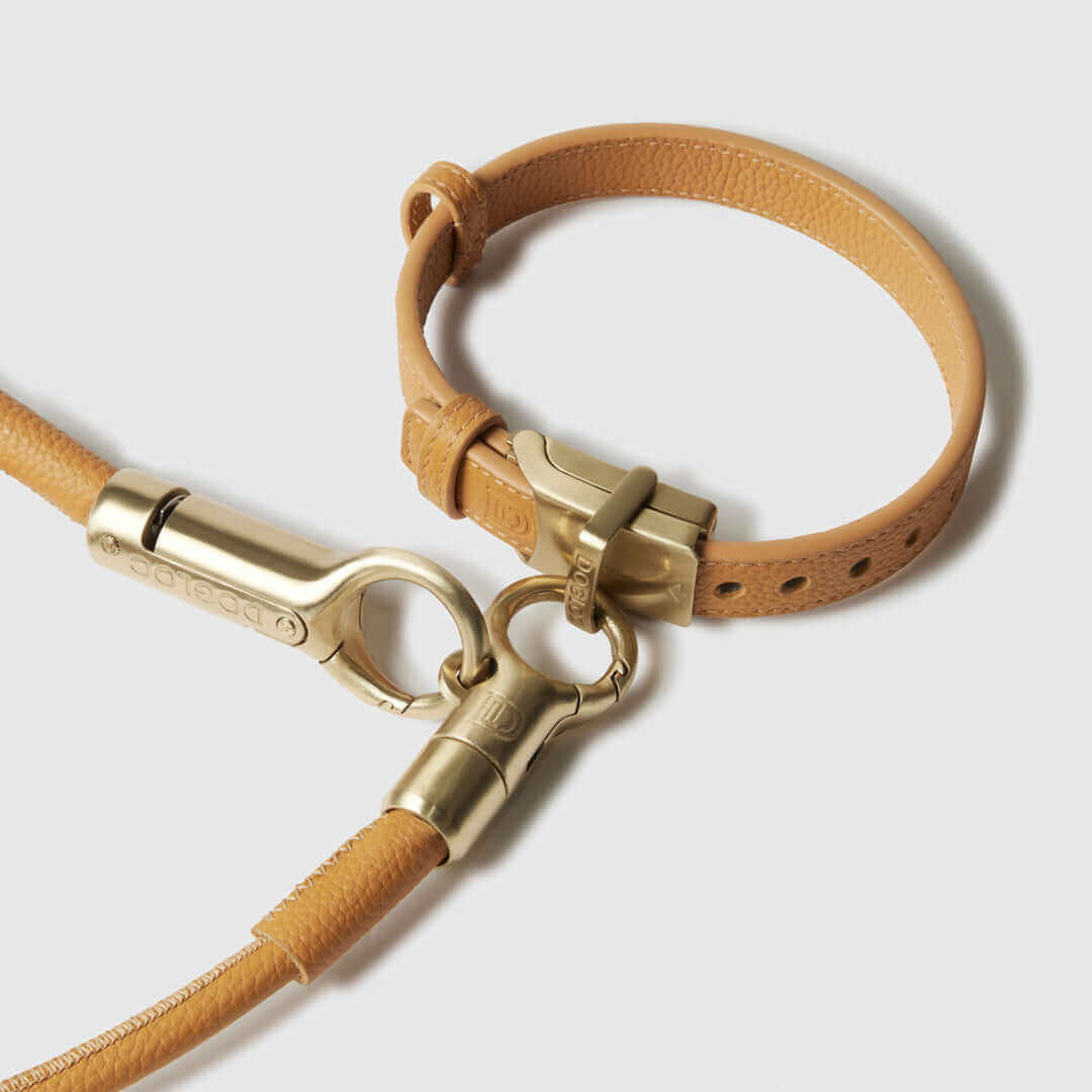 Close-up of the DOGLOC lockable dog lead and collar set featuring the premium leather and secure locking system.