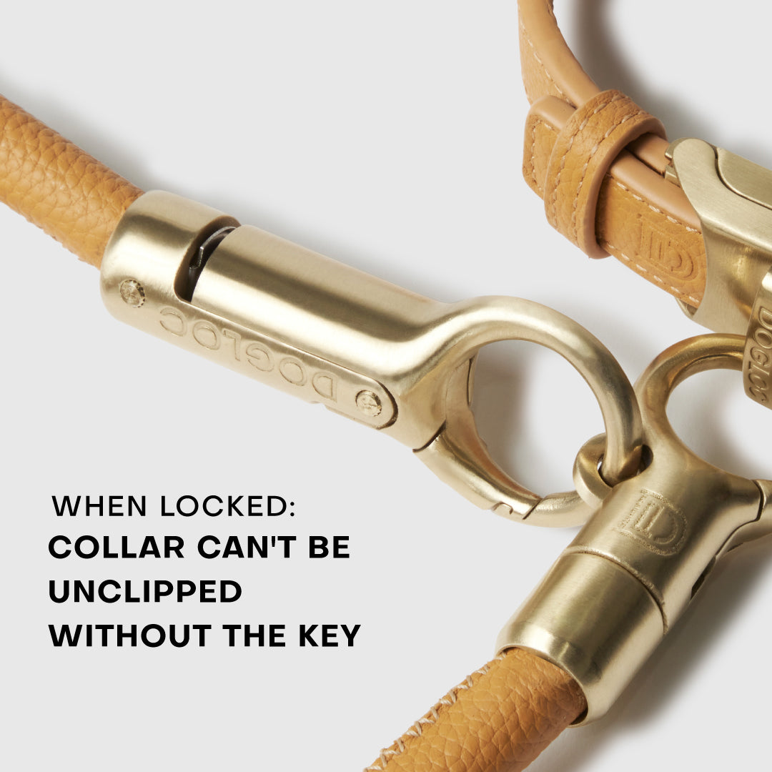 DOGLOC Patented Locking System