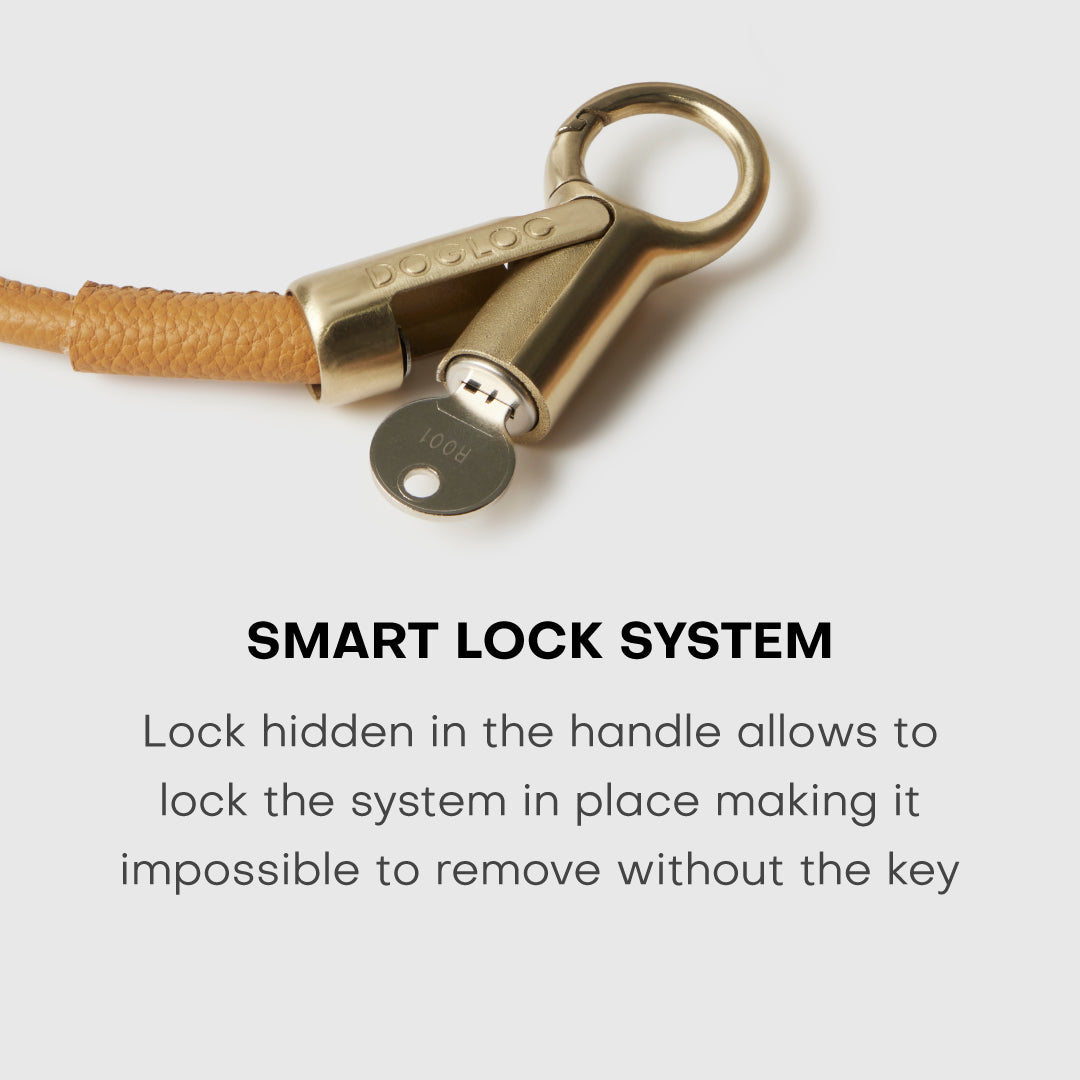 DOGLOC Smart Lock System