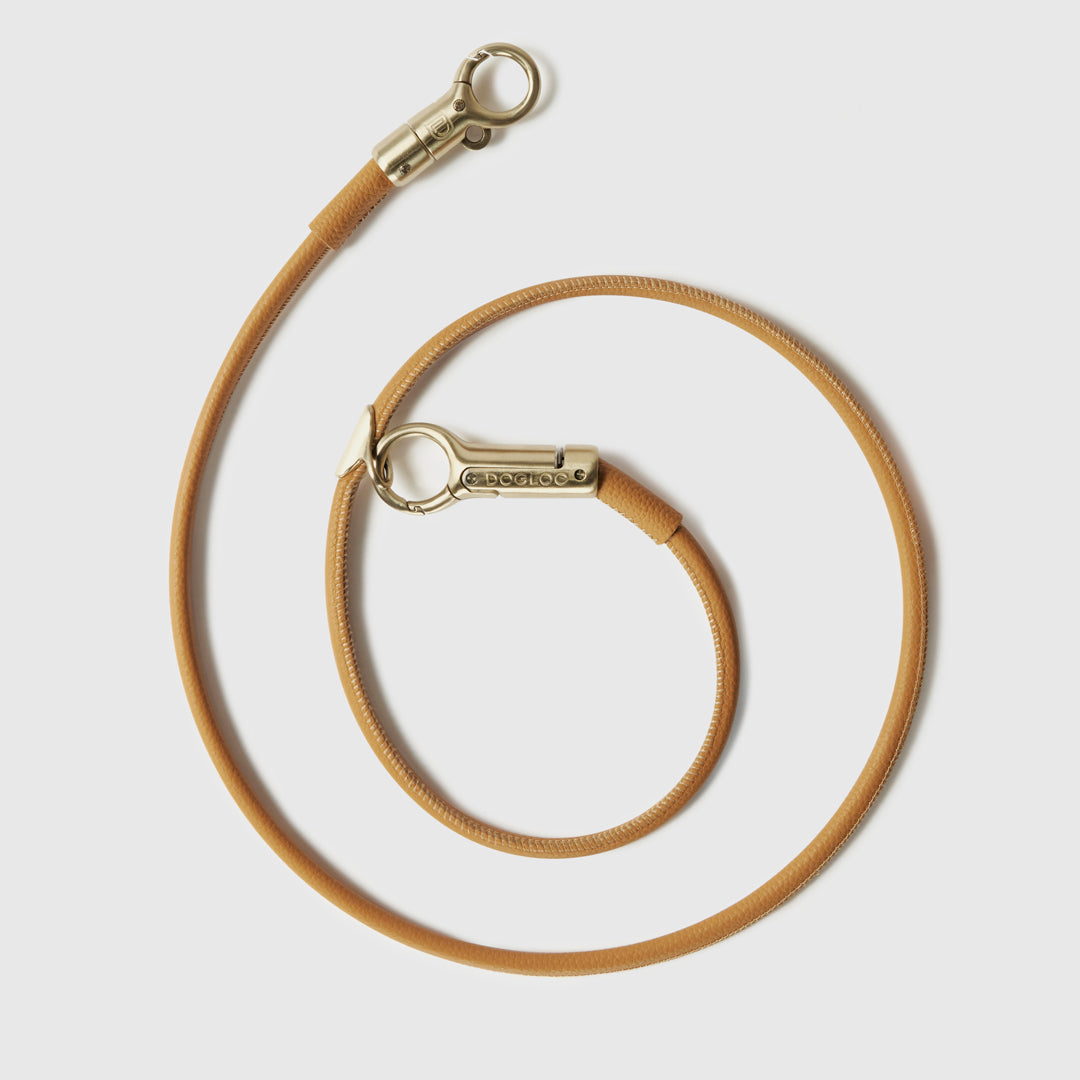 DOGLOC anti-theft leash coiled
