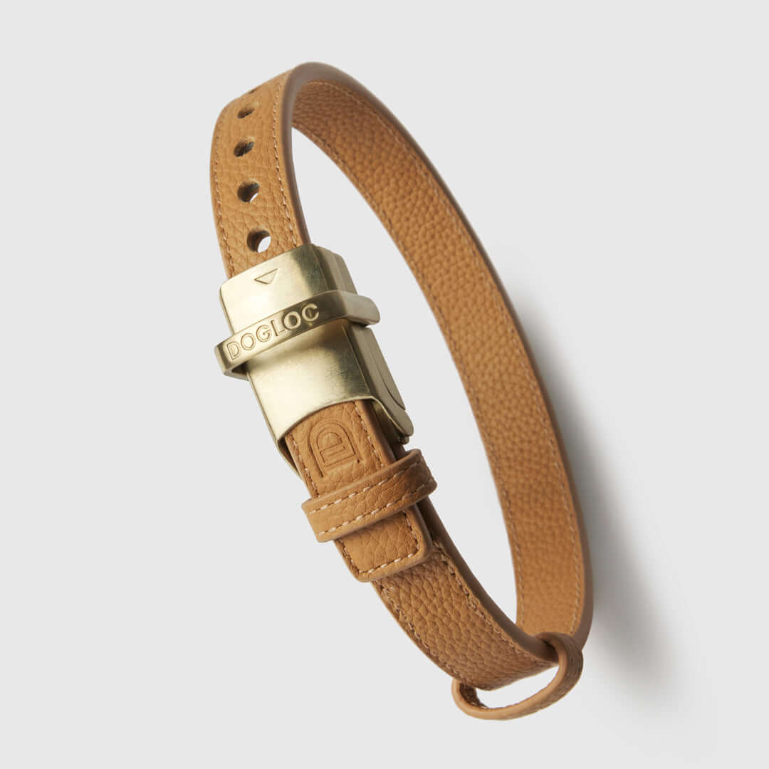 DOGLOC stylish leather collar which is part of a lockable set