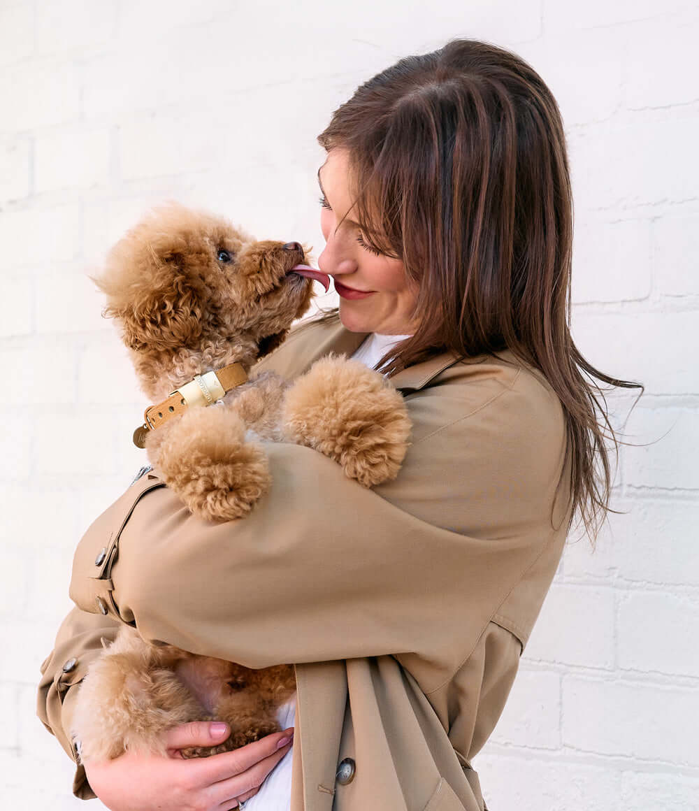 Woman holding a fluffy dog wearing a DOGLOC lockable dog collar, sharing a loving moment.