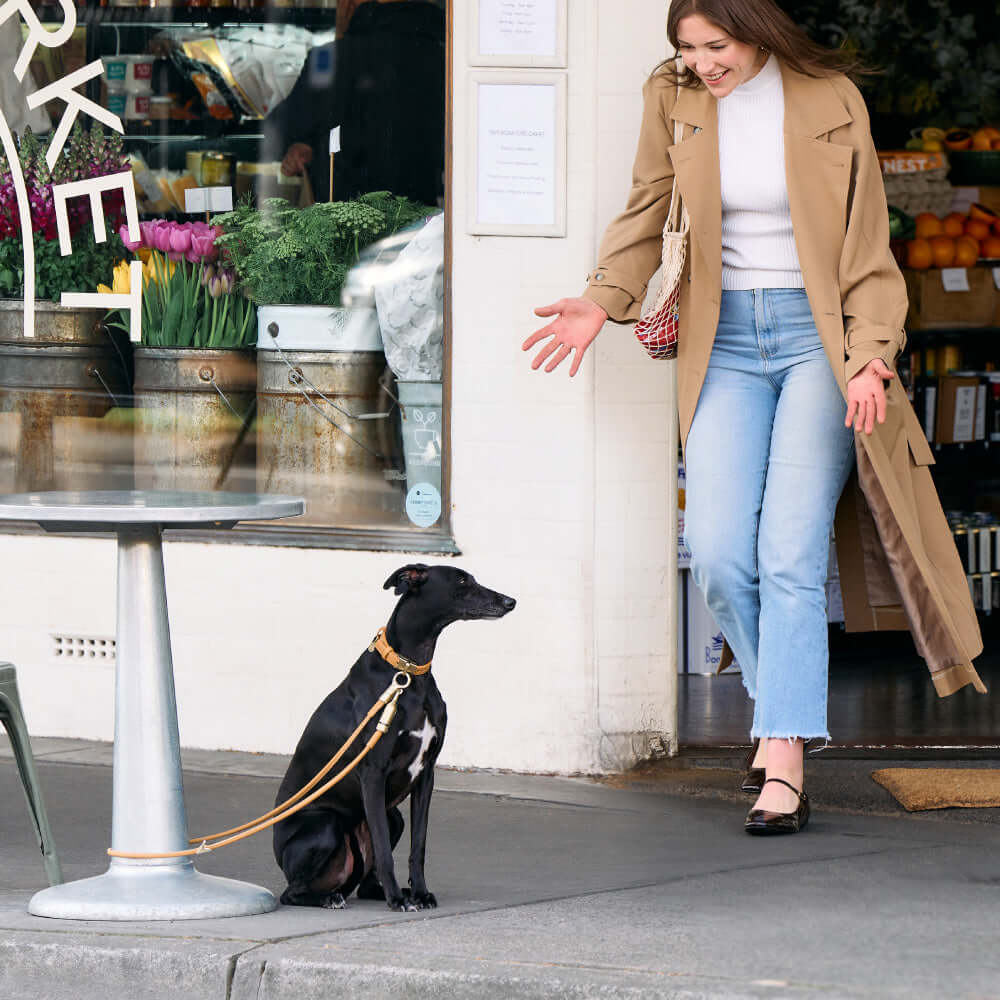 Woman interacting with a dog on a lockable dog lead outside a market, showcasing a stylish and safe dog lead and collar set.