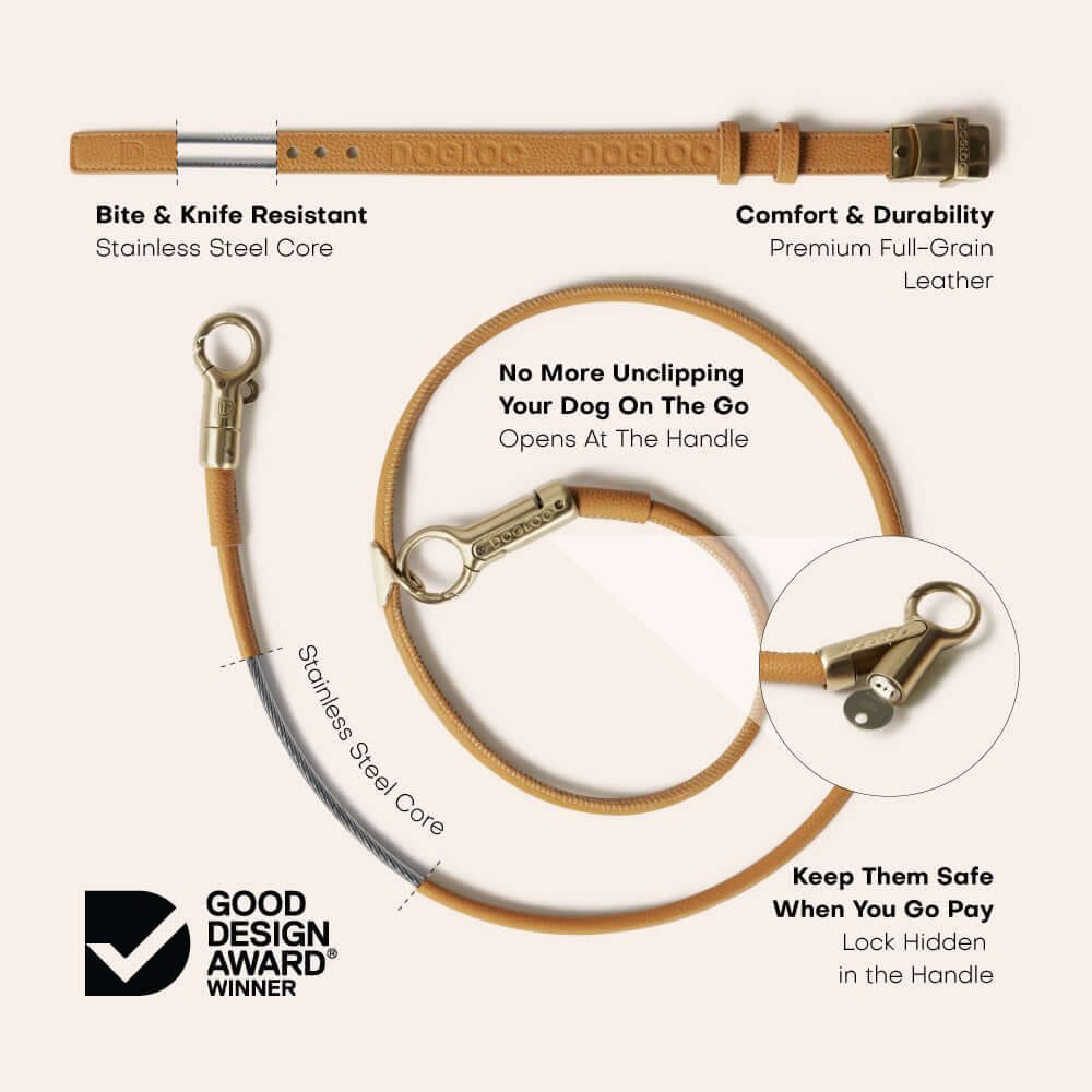 Lockable dog lead and collar set featuring premium full-grain leather and a secure locking system.