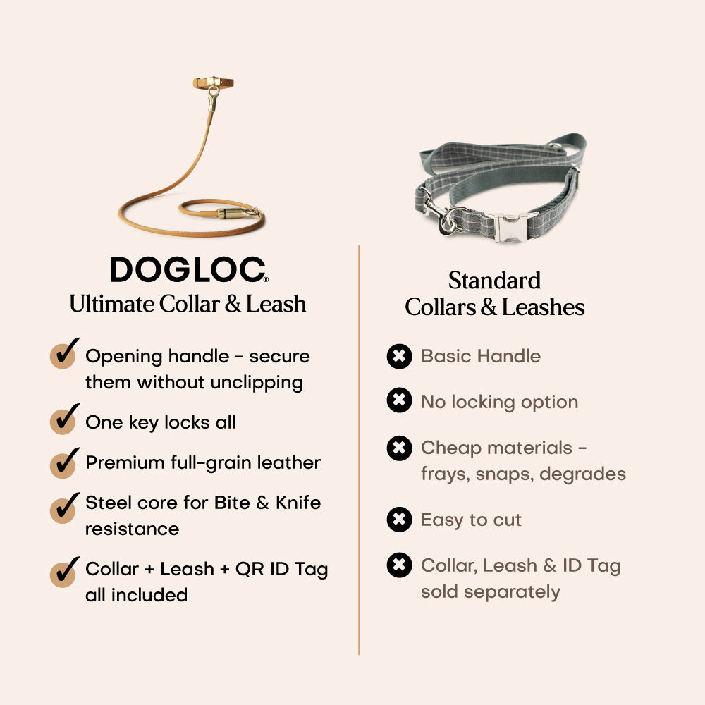 Lockable Leather Dog Collar & Lead System