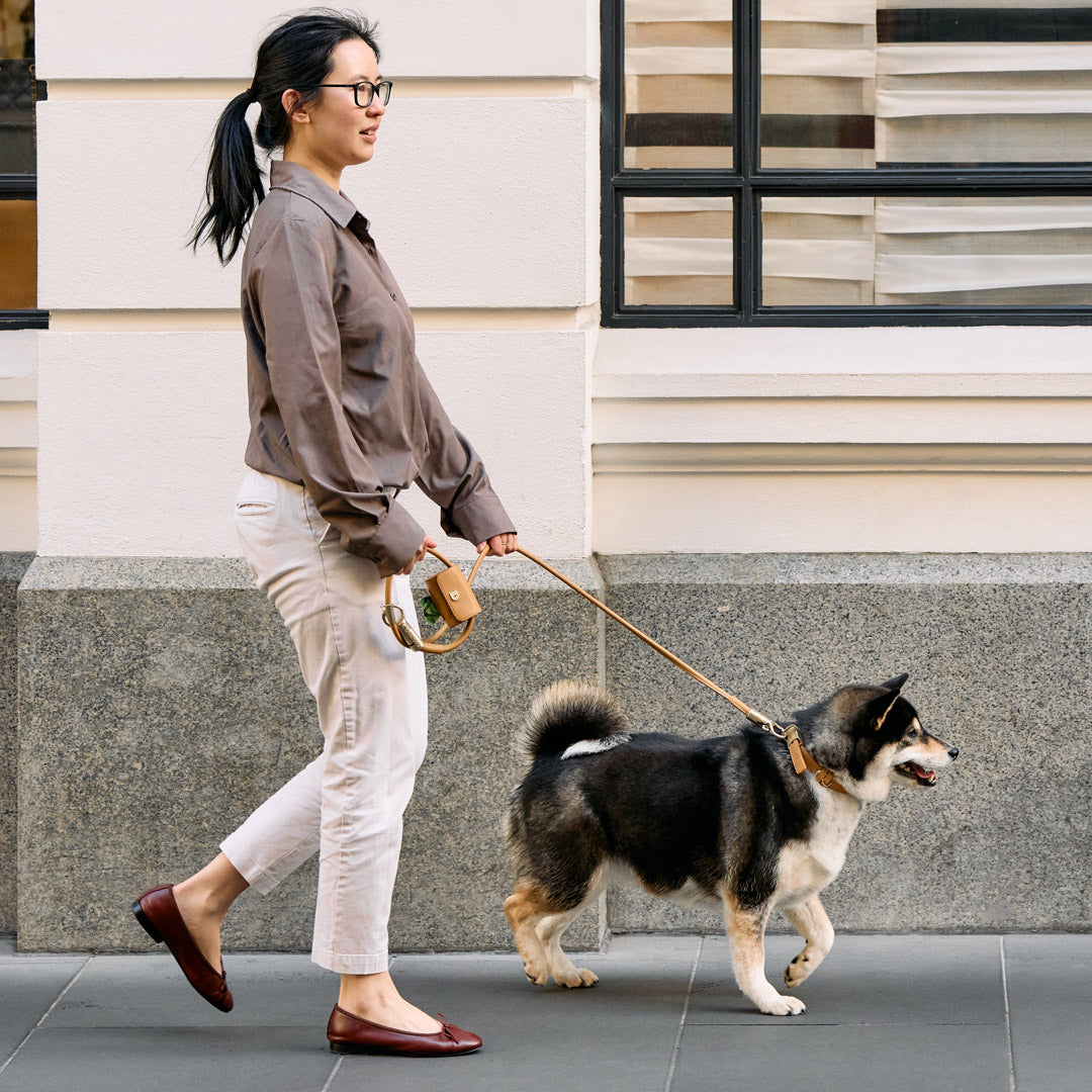 Walking your dog in style with DOGLOC