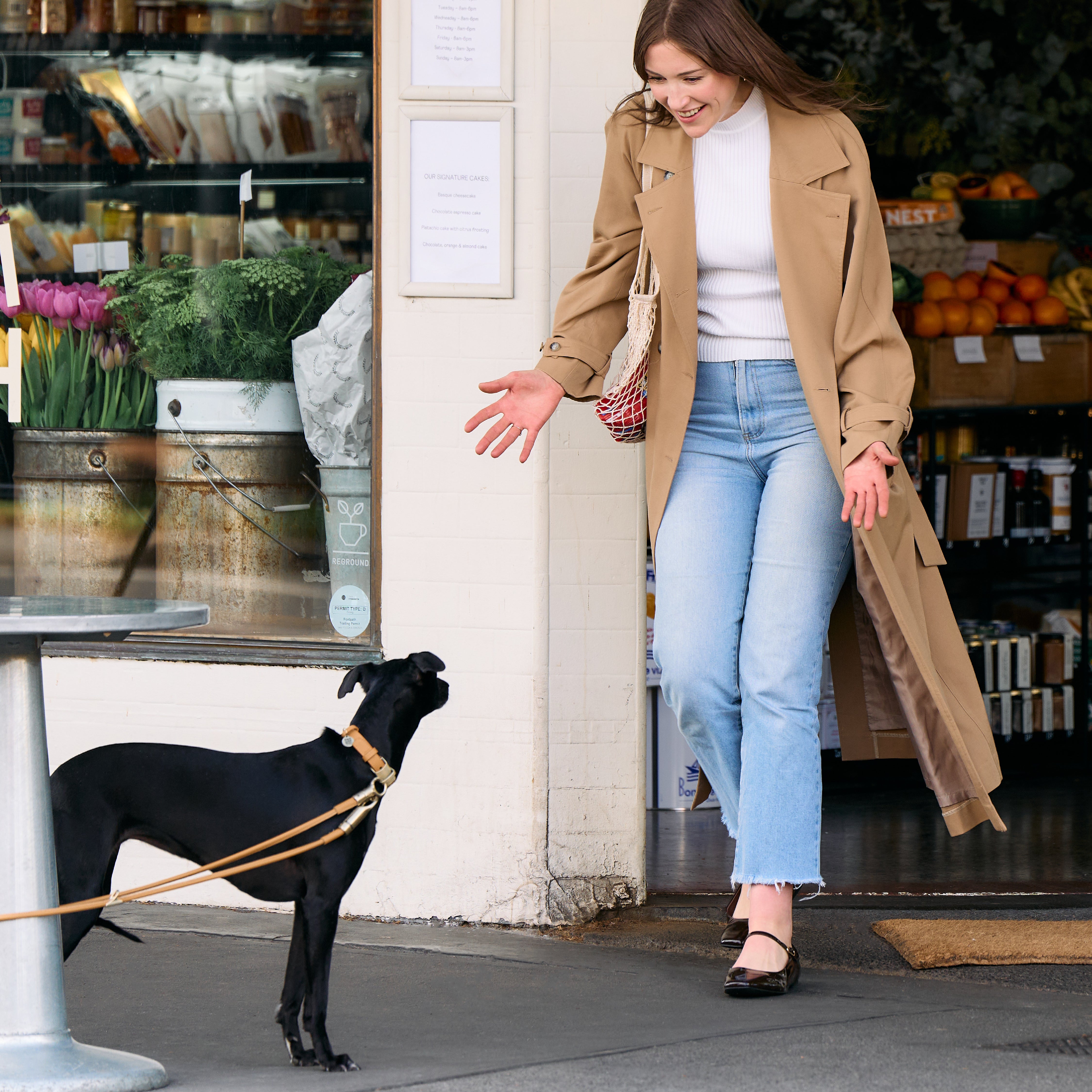 Anti-theft Lockable Leather Dog Collar & Leash Set