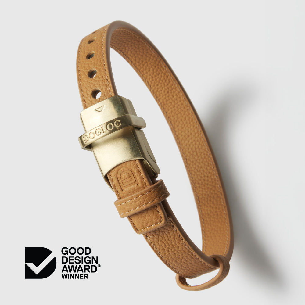 Anti-theft Leather Dog Collar & Lead