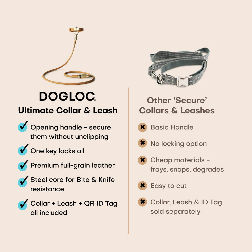 Anti-theft Leather Dog Collar & Lead