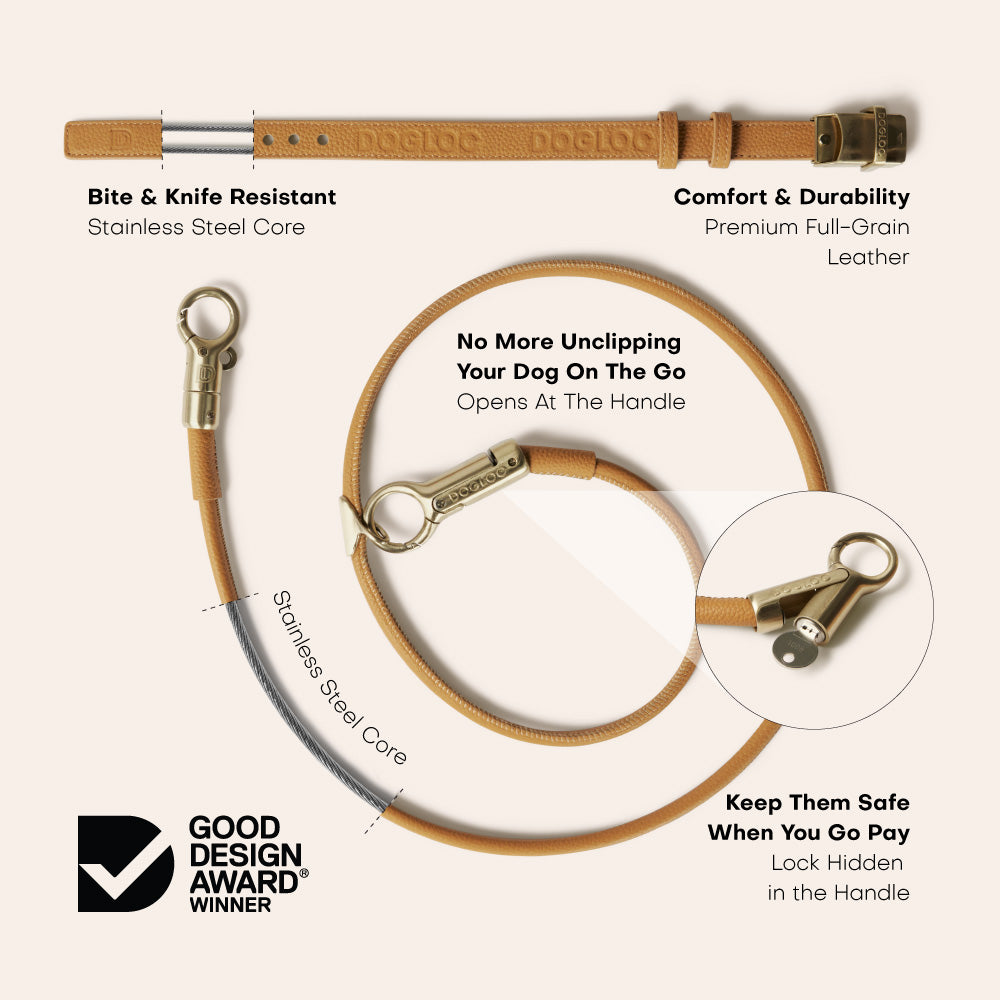 Lockable Leather Dog Collar & Lead System