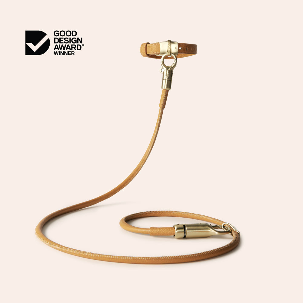 Lockable Leather Dog Collar & Lead System