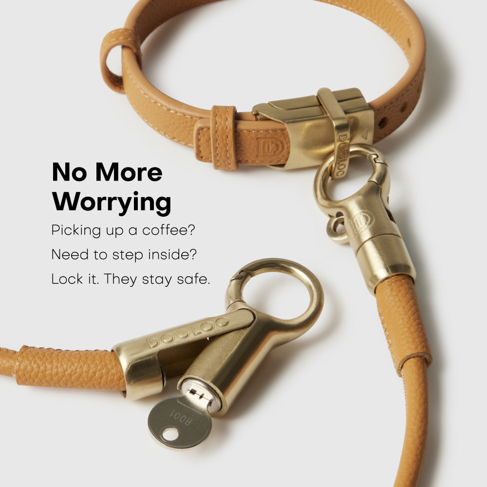 Anti-theft Leather Dog Collar & Lead