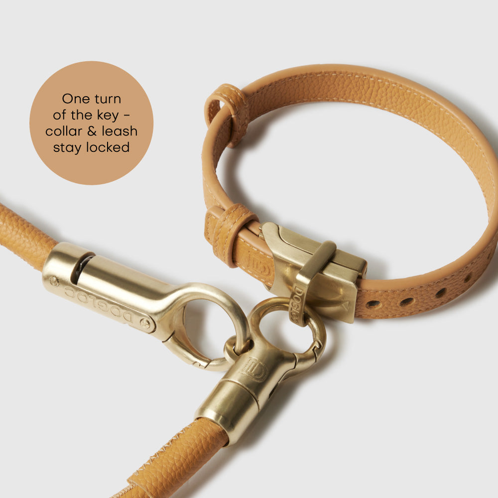 Anti-theft Leather Dog Collar & Lead